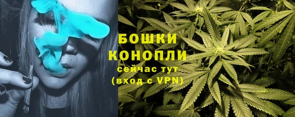 первитин Володарск