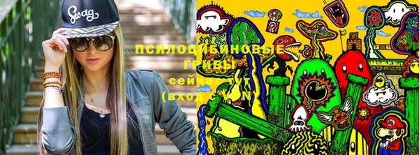гашик Волоколамск