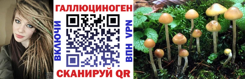 Псилоцибиновые грибы Cubensis  наркошоп  Вязники 