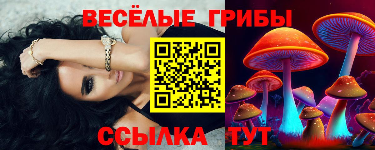 Галлюциногенные грибы ЛСД Вязники