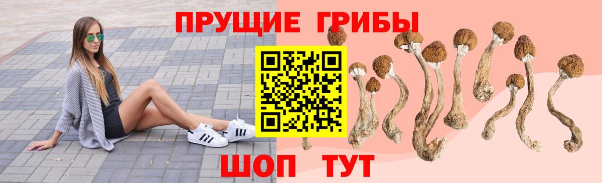 Галлюциногенные грибы GOLDEN TEACHER  Псилоцибиновые грибы Psilocybe  Вход с VPN  Вязники 